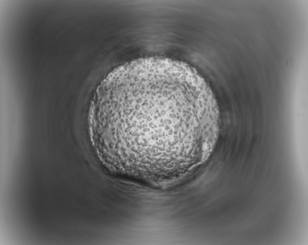 X0000089761249200707201935
