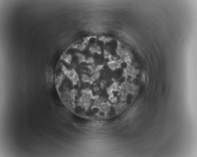 X0000089761251200707201935