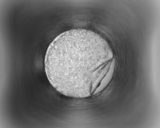 X0000089761252200707201935