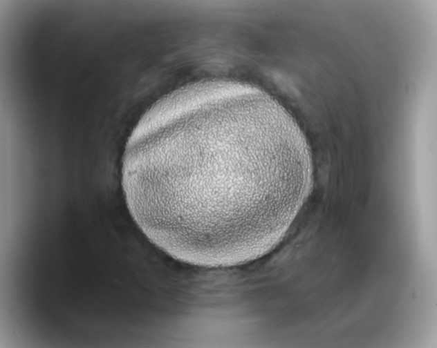 X0000089761253200707201935