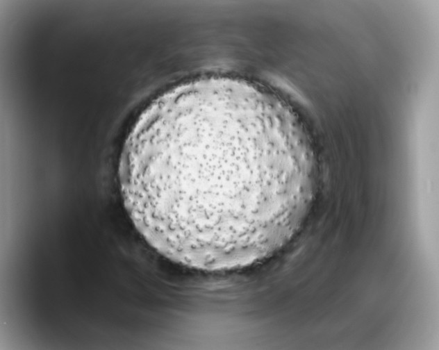 X0000089761256200707201935
