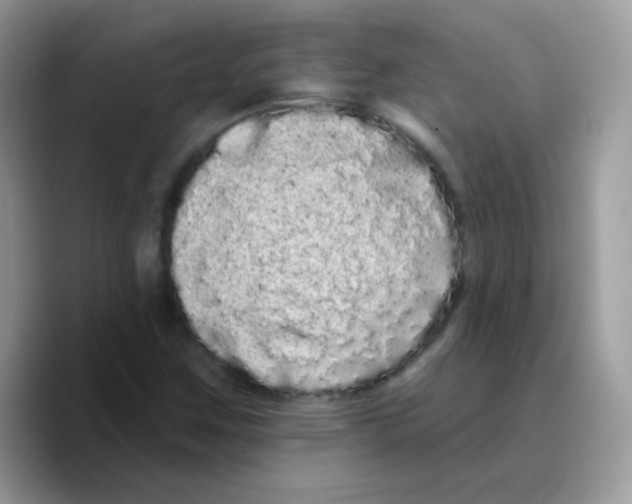 X0000089761259200707201935