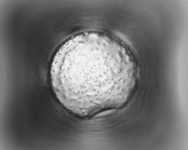X0000089761260200707201935
