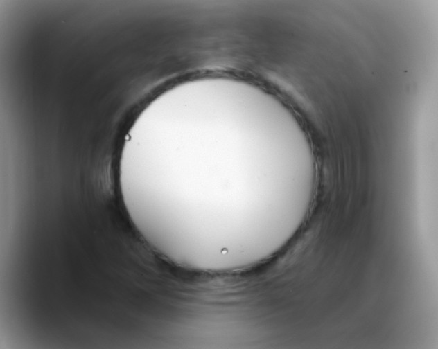 X0000089761262200707201935