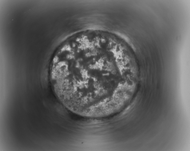 X0000089761263200707201935