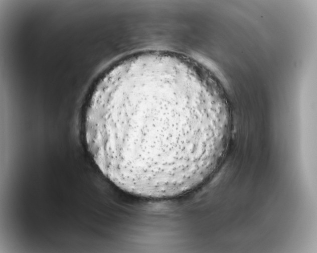 X0000089761264200707201935