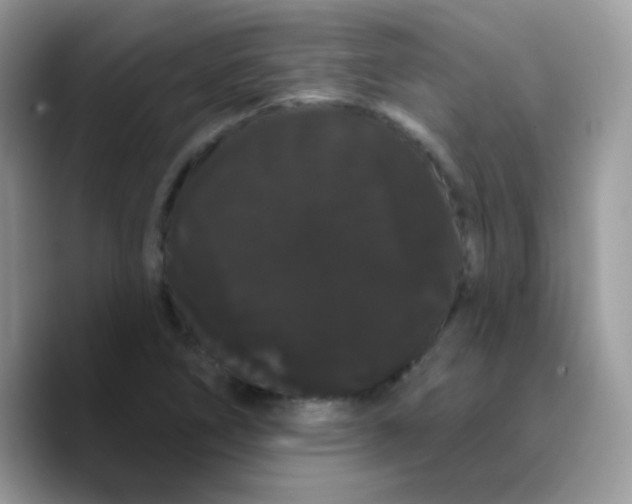 X0000089761266200707201935