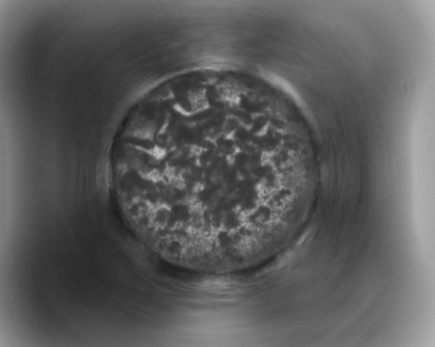 X0000089761267200707201935