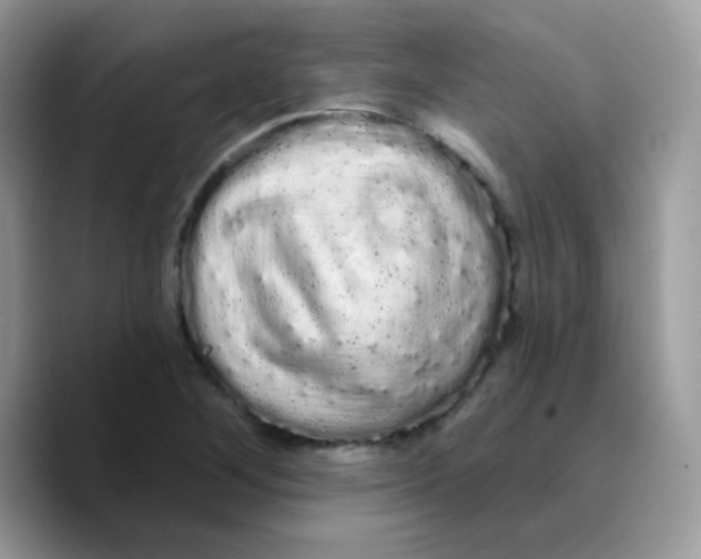 X0000089761268200707201935