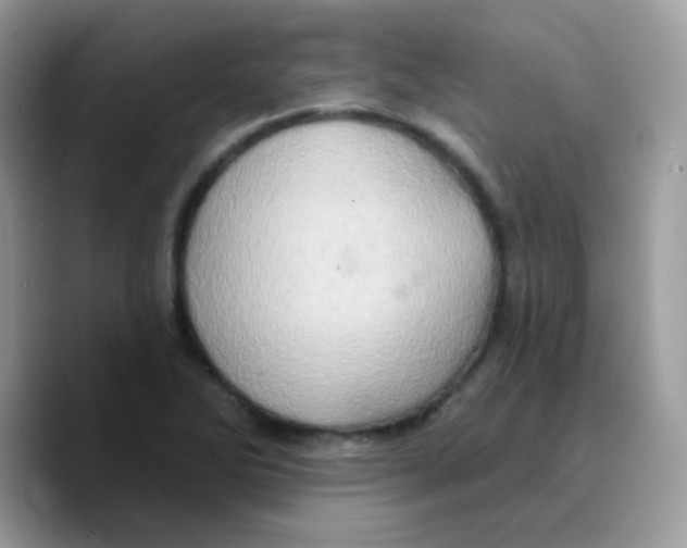 X0000089761270200707201935