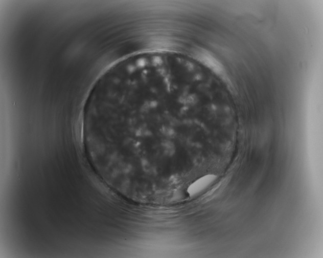 X0000089761275200707201935