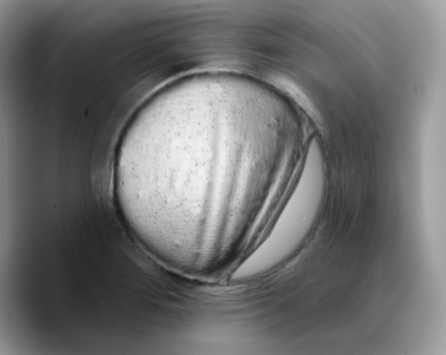 X0000089761276200707201935