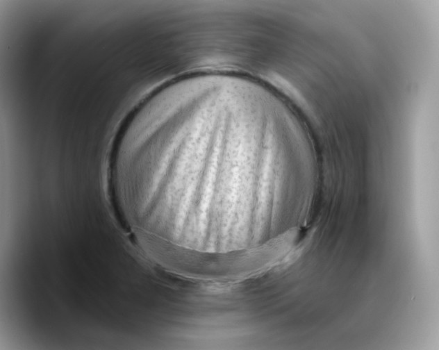 X0000089761277200707201935