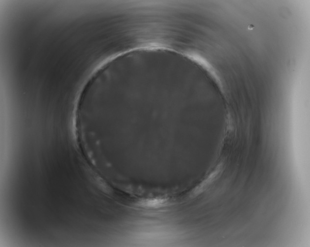 X0000089761278200707201935