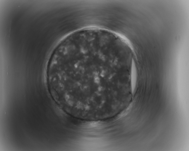 X0000089761279200707201935