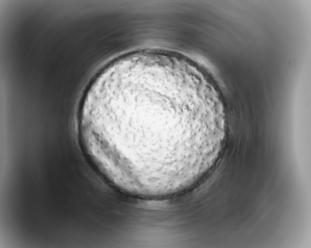 X0000089761280200707201935