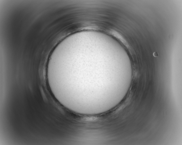 X0000089761282200707201935