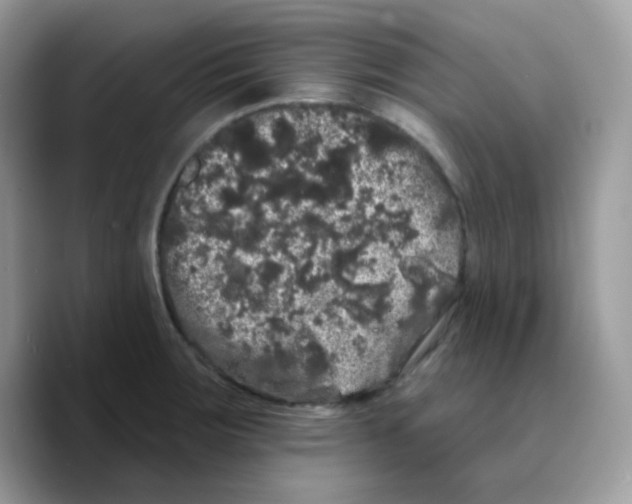 X0000089761283200707201935