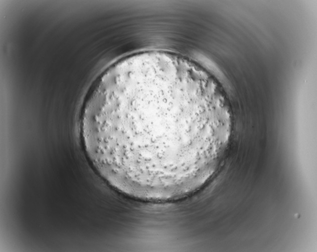 X0000089761284200707201935