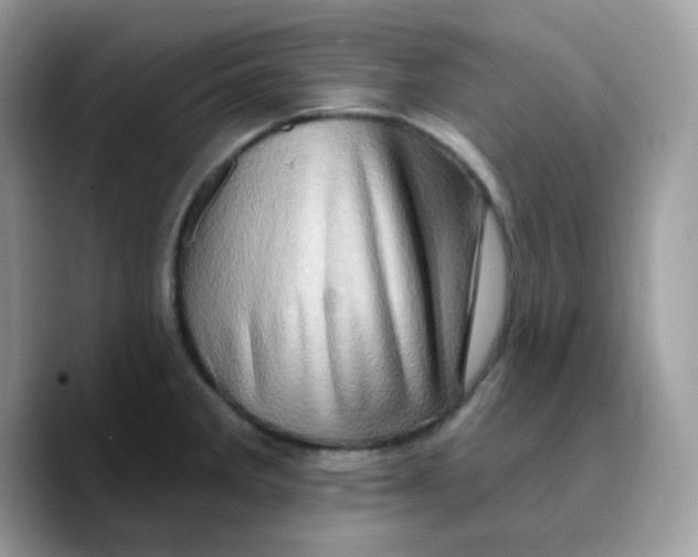 X0000089761285200707201935