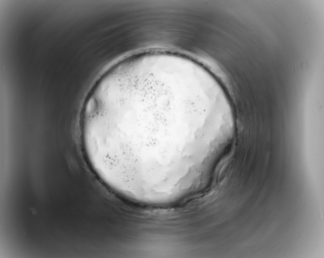 X0000089761287200707201935
