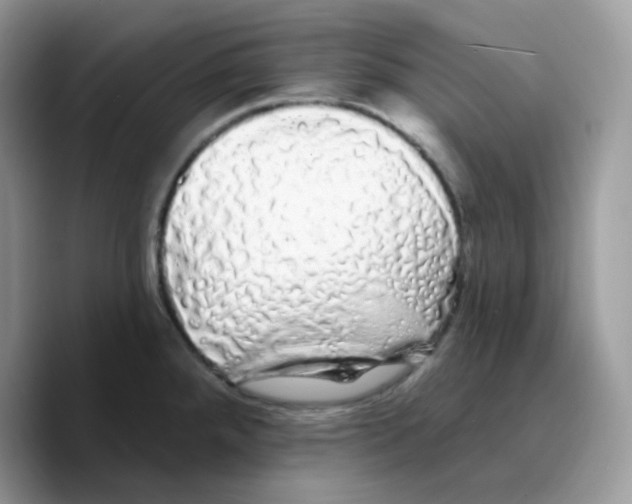 X0000089761288200707201935