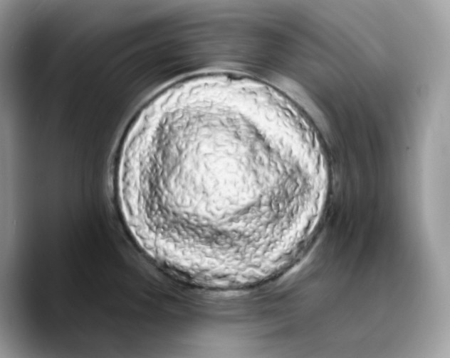 X0000089761292200707201935