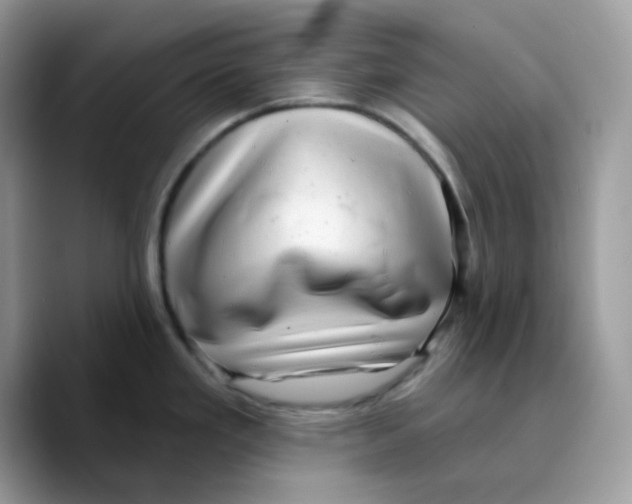 X0000089761293200707201935