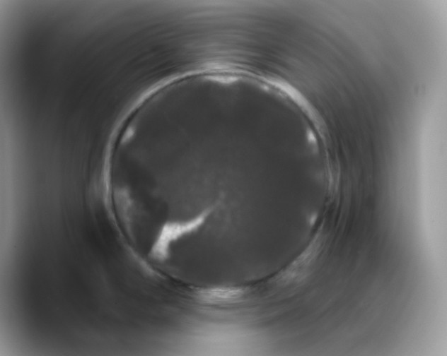X0000089761294200707201935