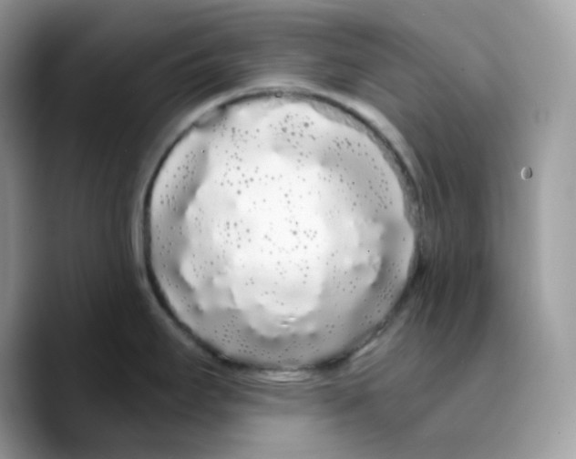 X0000089761295200707201935