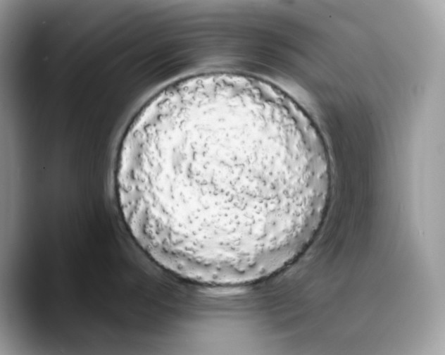X0000089761296200707201935