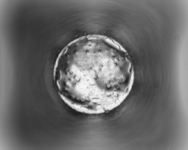X0000089761297200707201934