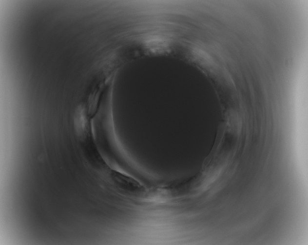 X0000089761298200707201934