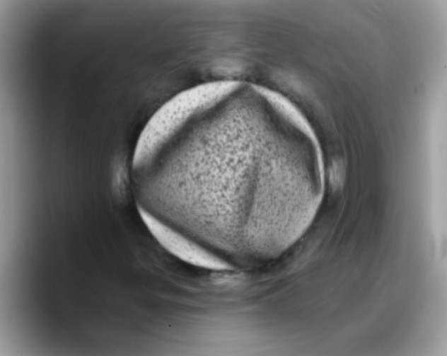 X0000089761299200707201934