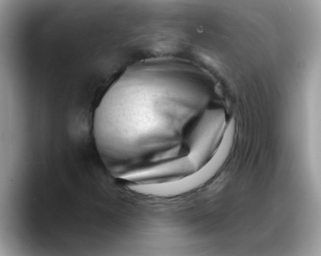 X0000089761300200707201934