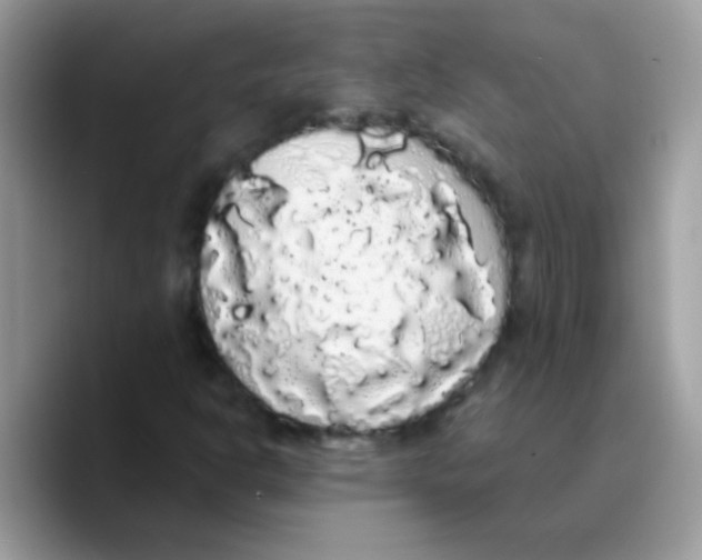 X0000089761302200707201934