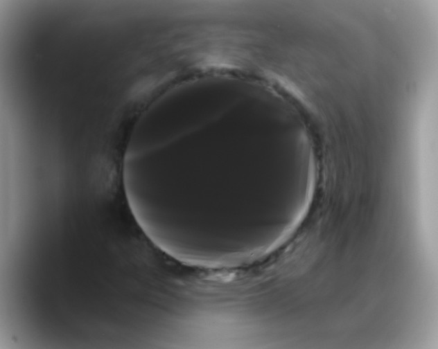 X0000089761303200707201934
