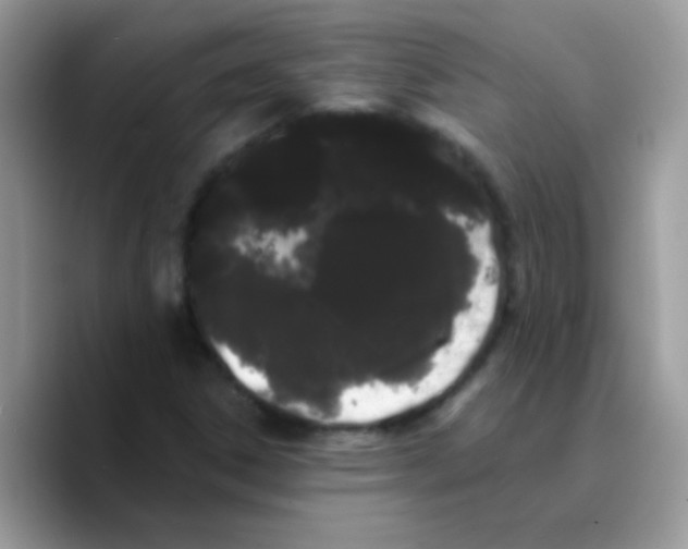 X0000089761306200707201934