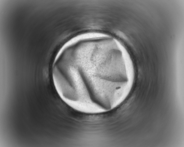 X0000089761307200707201934