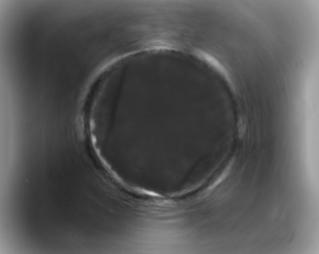 X0000089761310200707201934