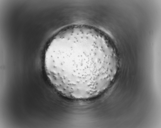 X0000089761311200707201934