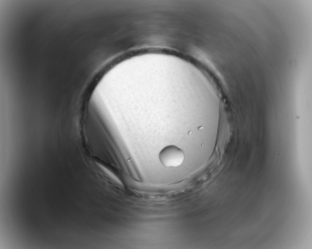X0000089761312200707201934