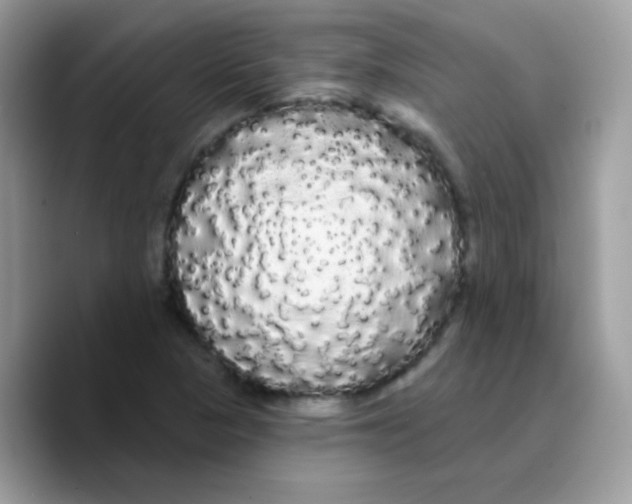 X0000089761313200707201934