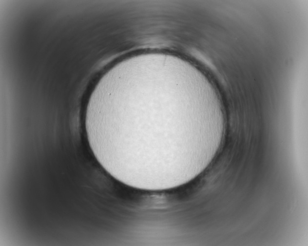 X0000089761315200707201934