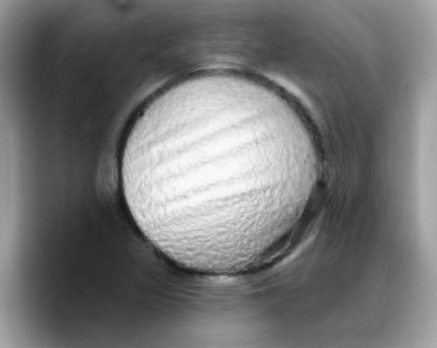 X0000089761317200707201934