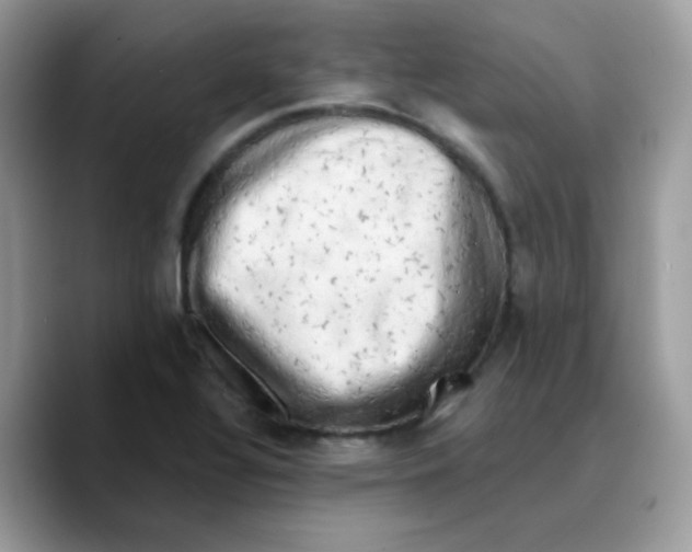 X0000089761320200707201934