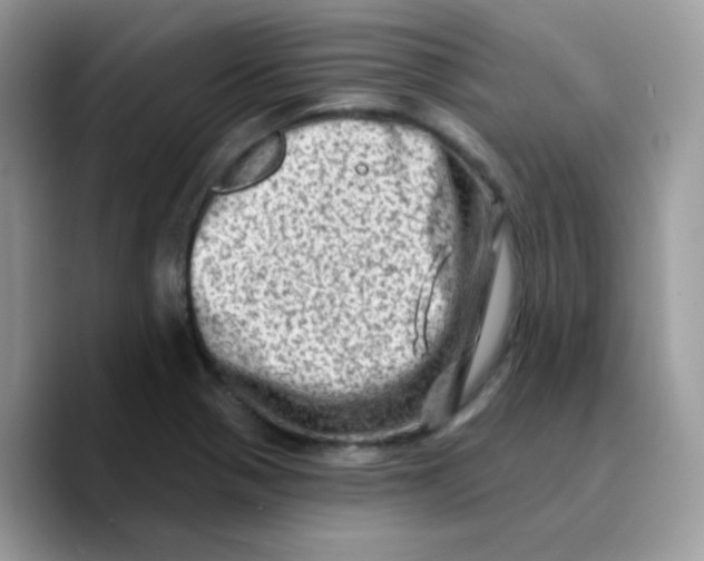 X0000089761321200707201934