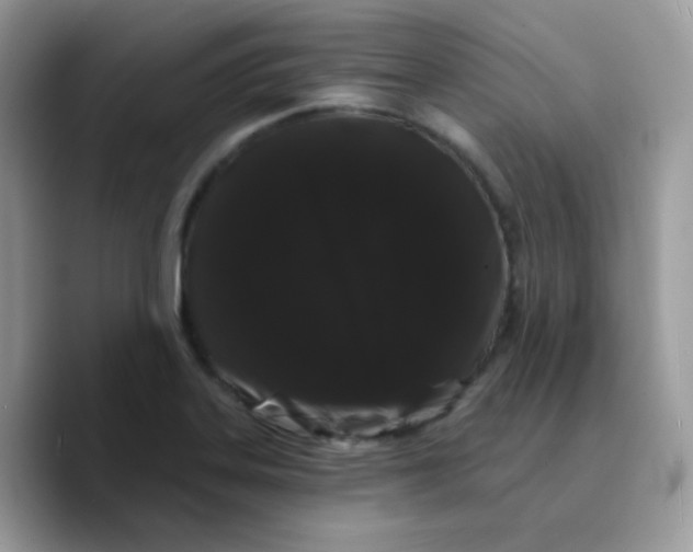 X0000089761323200707201934