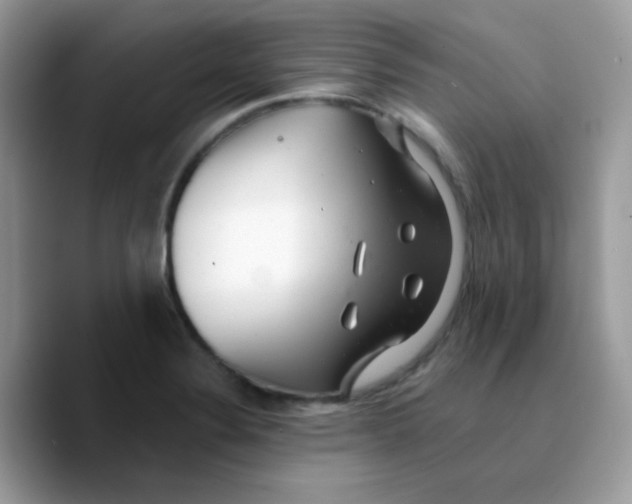 X0000089761324200707201934