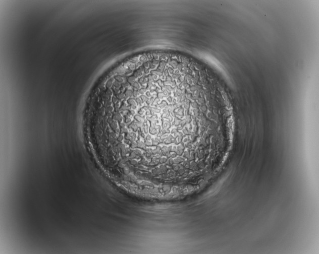 X0000089761326200707201934